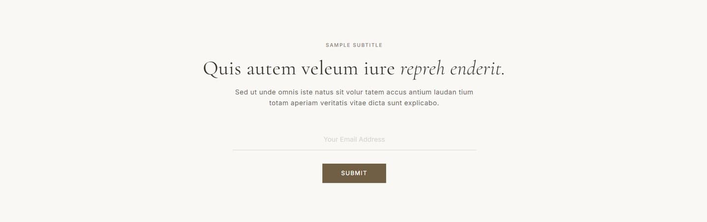 Preview of CS — Email Opt-in #2